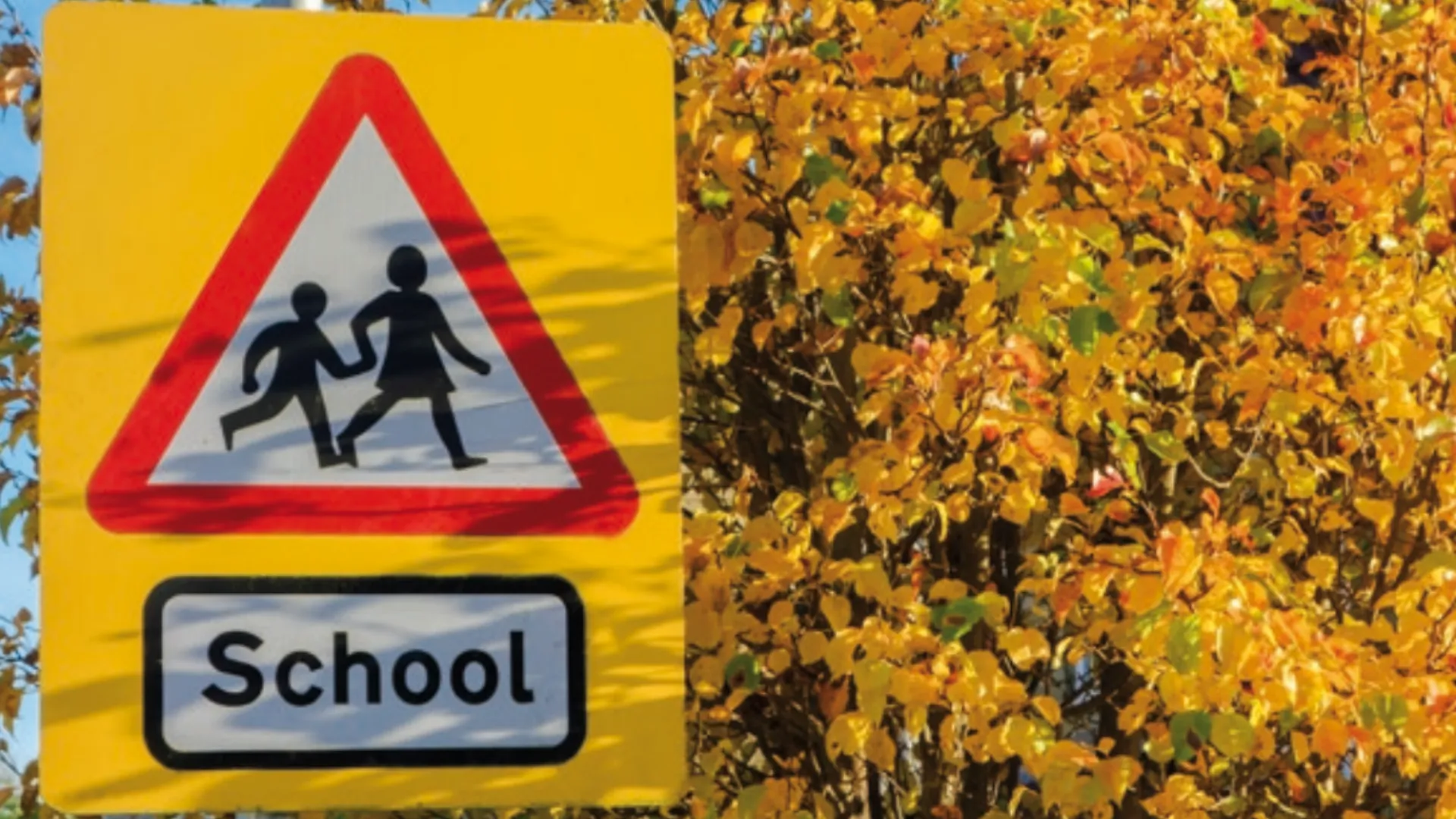 School zone sign with children crossing symbol in front of autumn foliage