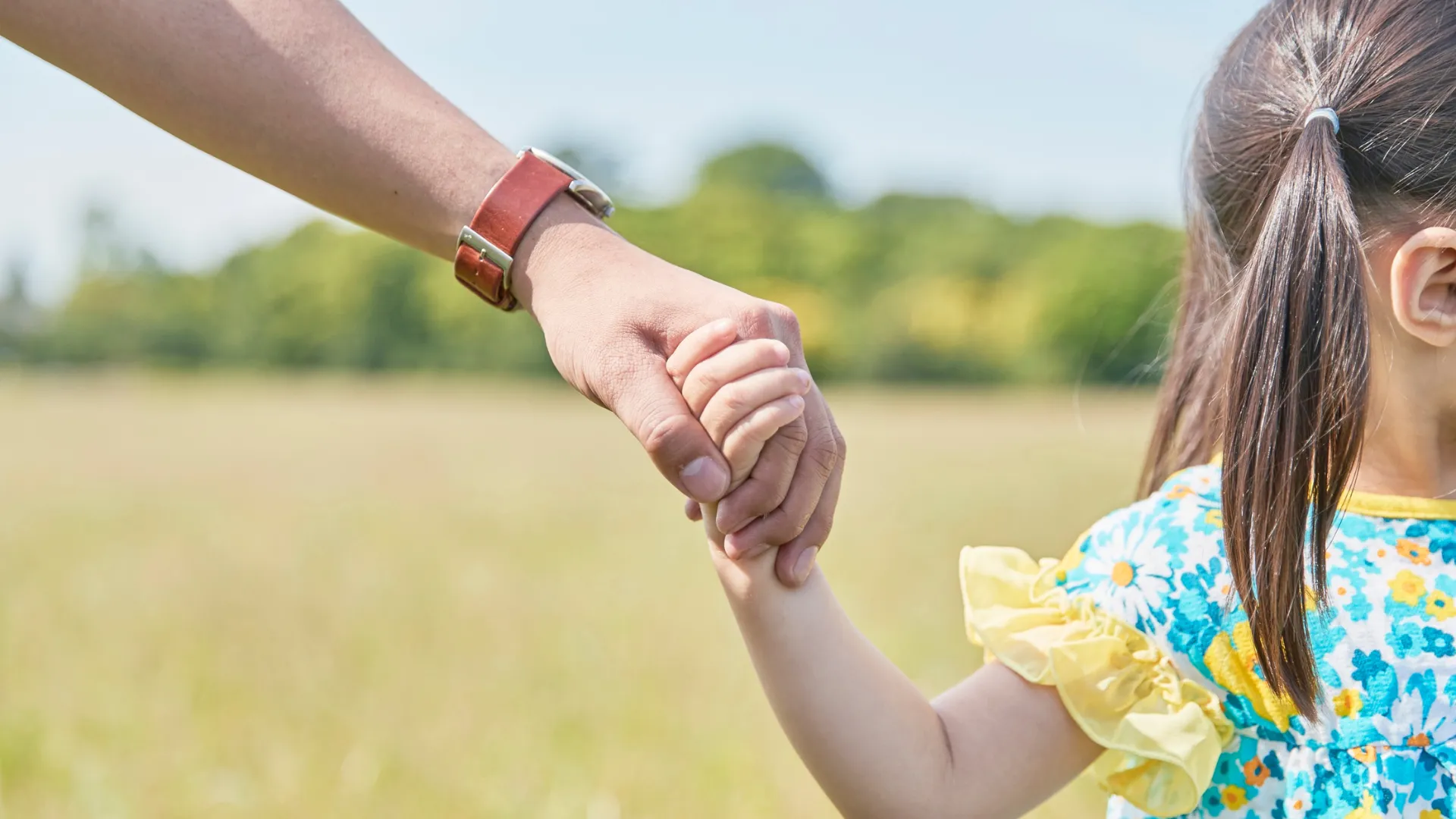 Adult holding a young child's hand outdoors in a grassy field